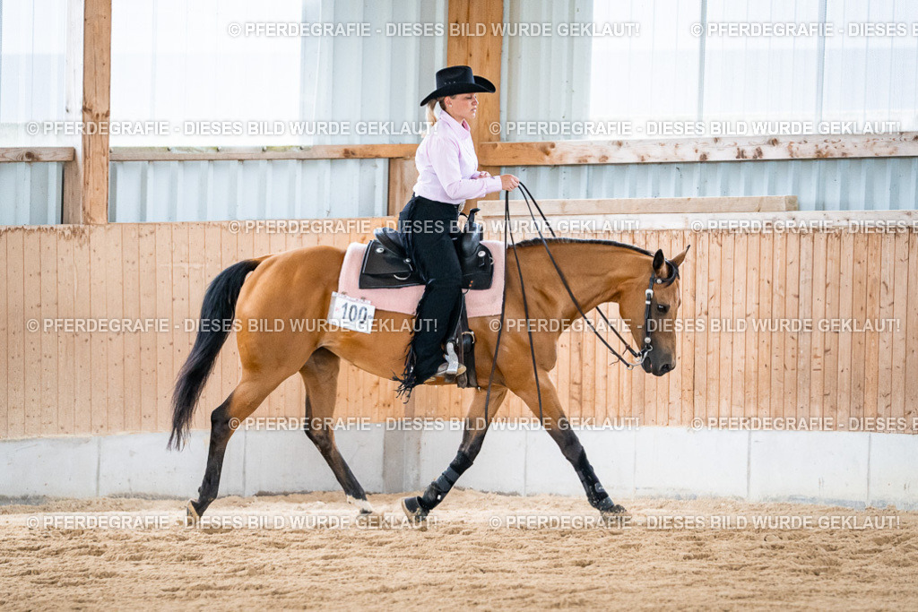 DSC09093 | Pferdegrafie