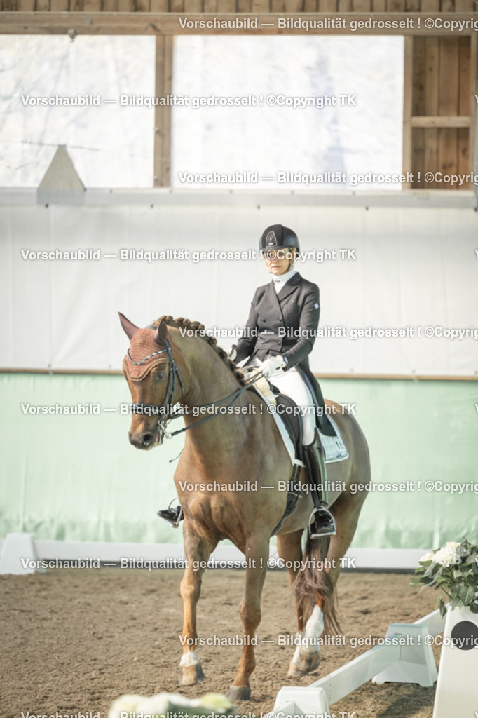 _D5A1253 | Emotionale Pferde- & People-Fotografie rund um Heidelberg, Leimen & Umgebung. Natürliche Fotos von Pferd, Mensch & Familie. Jetzt Termin sichern!