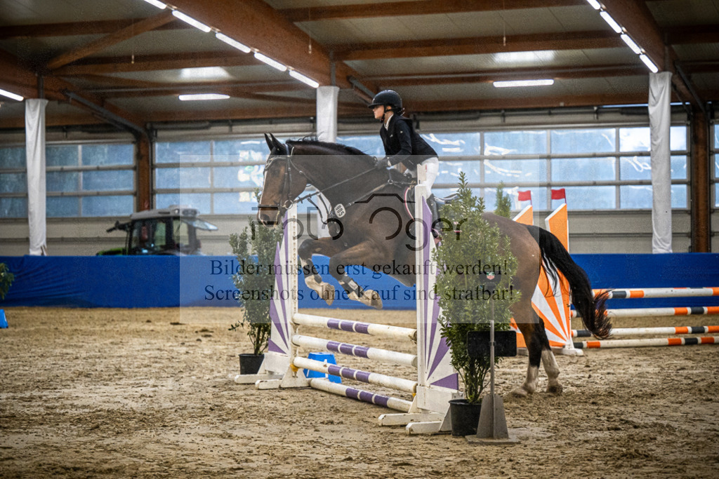 DOS_1427 | Entdecke hochwertige Reitturnierfotos von Foto Oger. Professionell, emotional und authentisch – jetzt Lieblingsmomente im Shop bestellen.Deutschlandweite Turnierfotografie. - Realisiert mit Pictrs.com