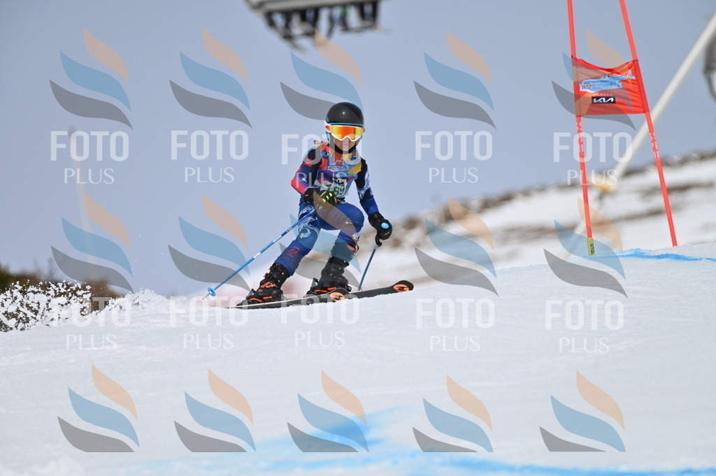 BGV_3661 | holidayphoto