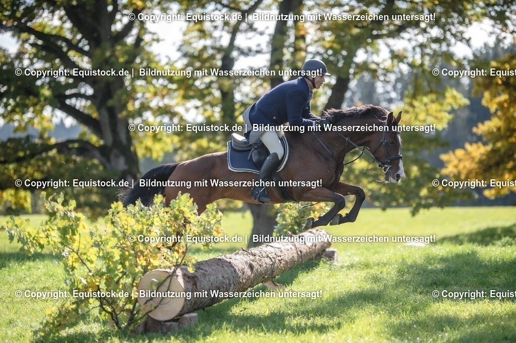 20251011_Jagd-Marbach_0415 | Foto: Thomas Hartig