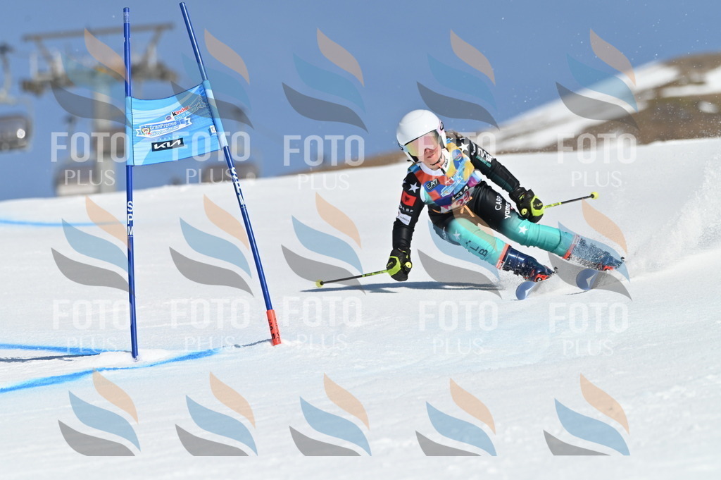 BGV_8135 | holidayphoto