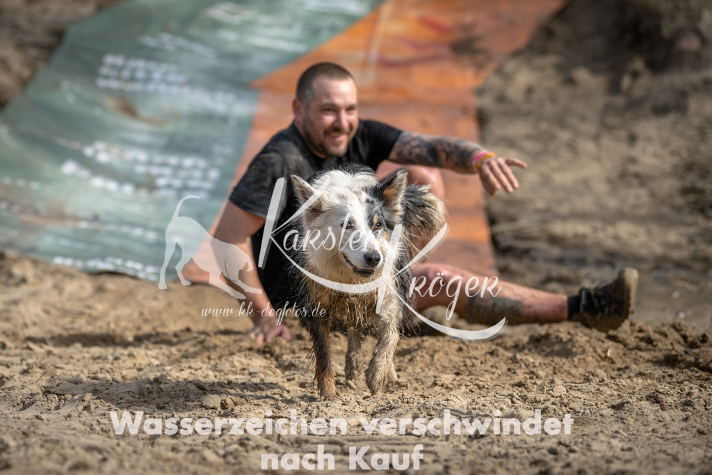 1024DSC_6185 | kk-dogfotos