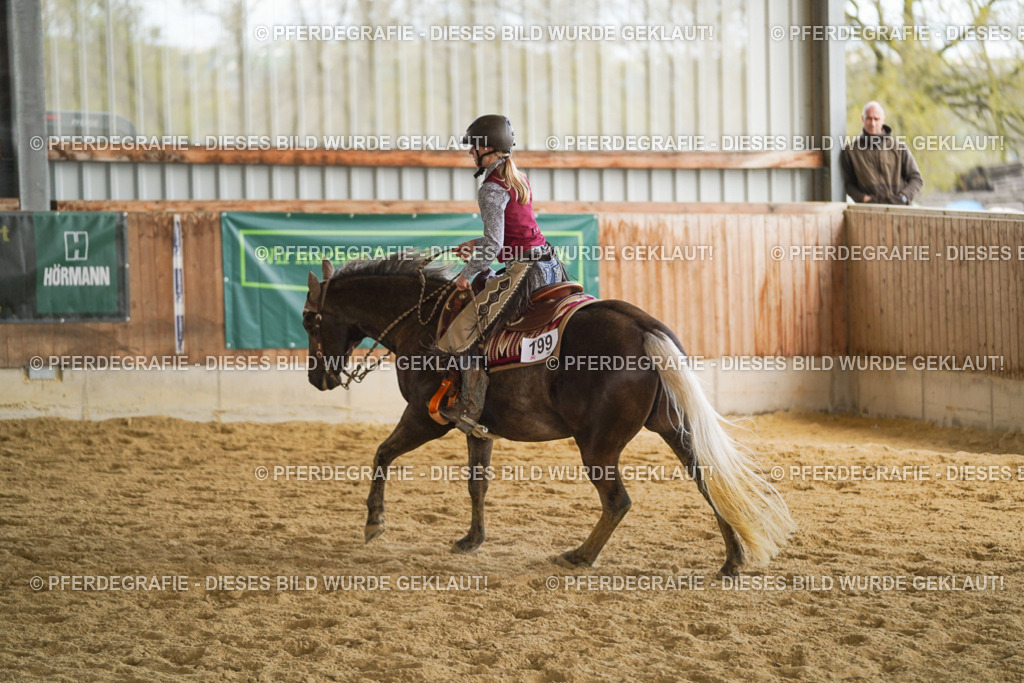 DSC08664 | Pferdegrafie