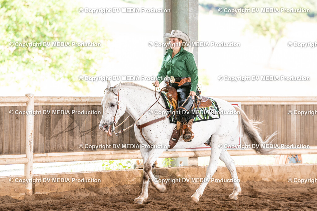 Erbach Tag 1-752 | dv-media-shop - Realisiert mit Pictrs.com