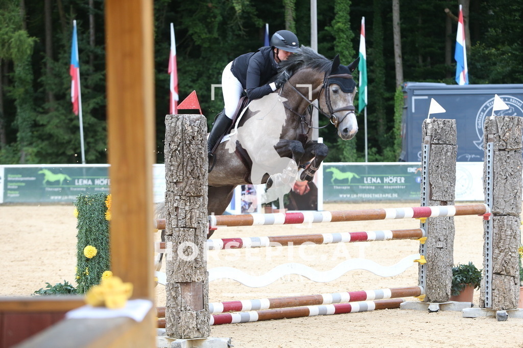 DL2Q4241 | Willkommen bei Brunnmayr - Design & Fotografie – Ihrem Spezialisten für Reitturniere und Pferdeveranstaltungen in Oberösterreich, Salzburg und Bayern! Seit über 17 Jahren sind wir leidenschaftlich dabei.