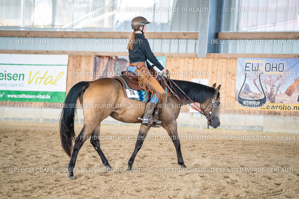 DSC03372 | Pferdegrafie