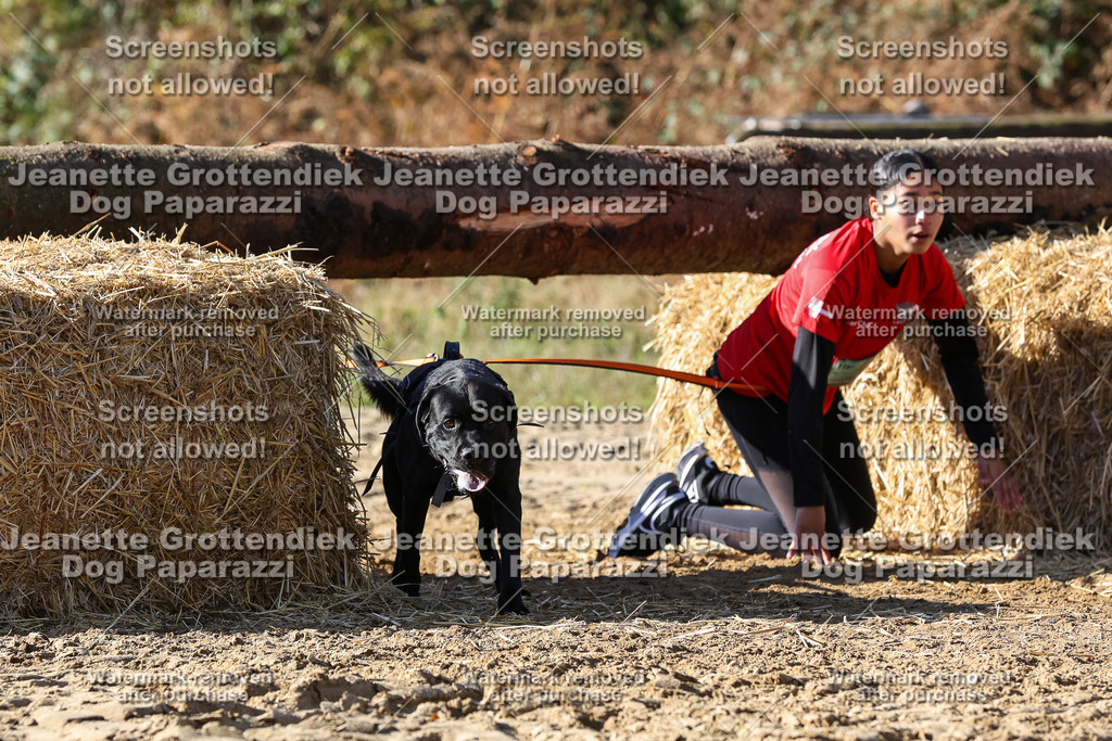 Dog Paparazzi - Strongdog 10-25-4699 | Dog Paparazzi Jeanette Grottendiek Fotografie & Videografie - Realisiert mit Pictrs.com