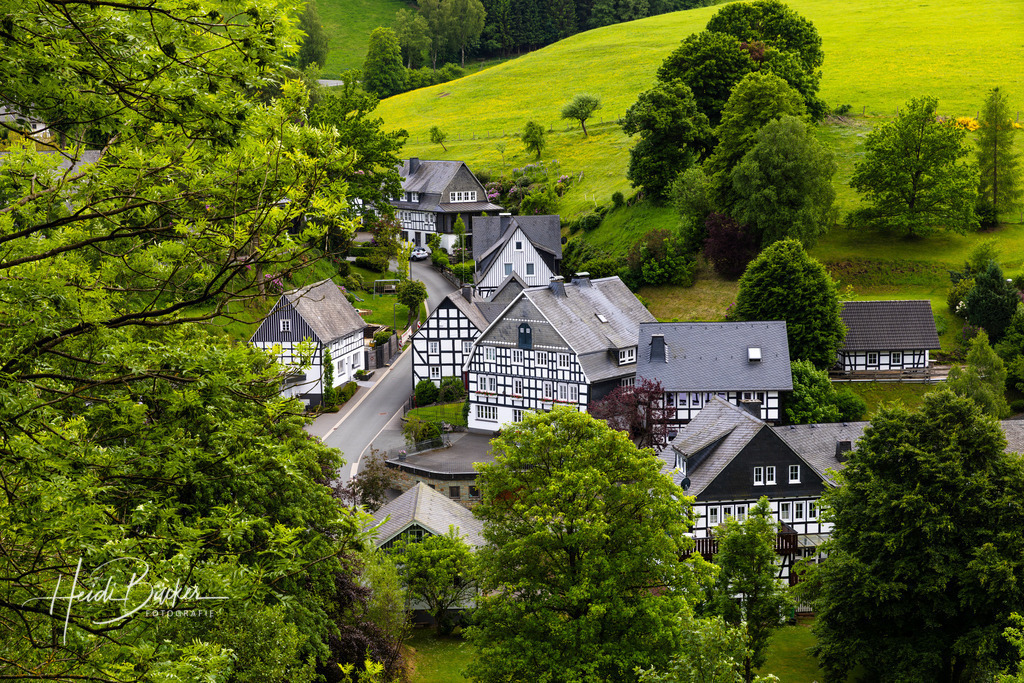 Westfeld und Umgebung 021 | Bilder und Impressionen zu jeder Jahreszeit aus dem Sauerland im Naturpark Sauerland-Rothaargebirge - Realisiert mit Pictrs.com