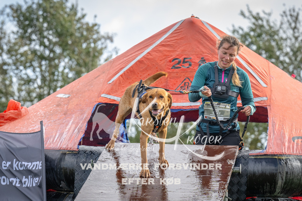 1216-93055 | kk-dogfotos