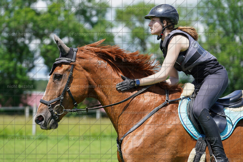 20240622-FAH06885 | Turnierfotografen Bayern, Reitsportbilder aus dem Geländekurs mit Felix Etzel auf dem Gut Waitzacker 2024