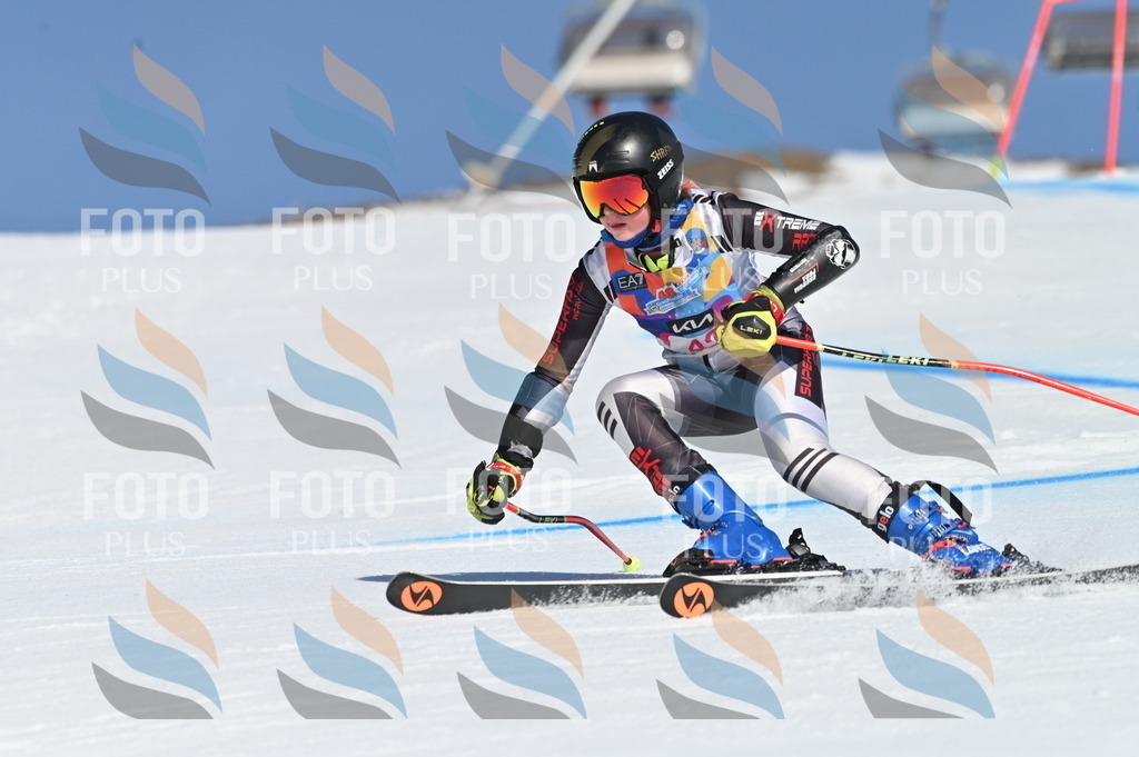 BGV_8398 | holidayphoto