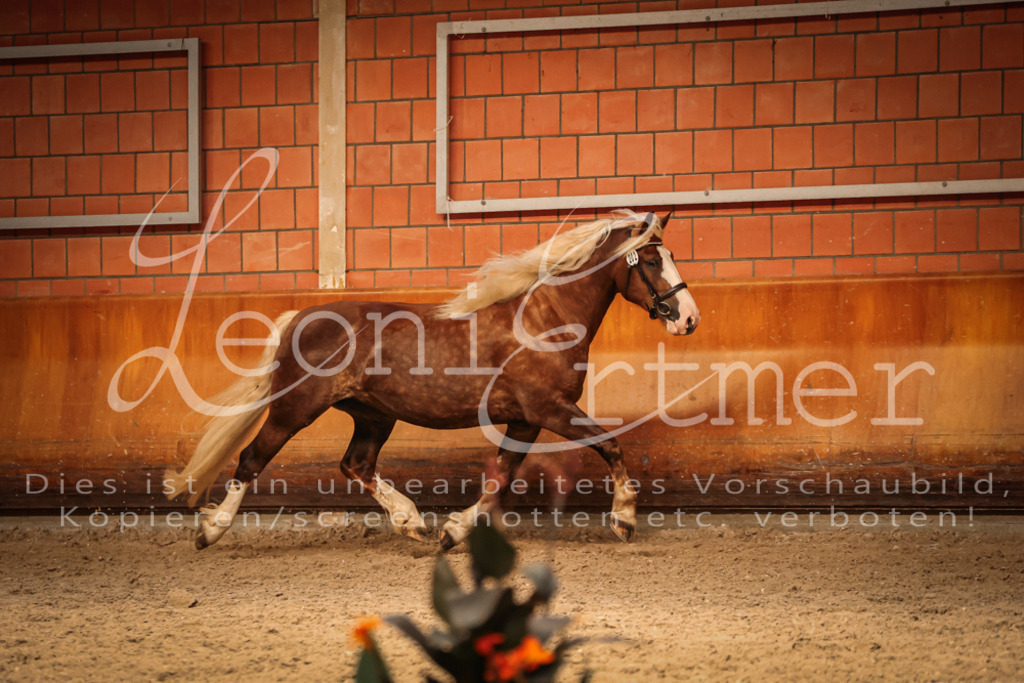 SaFL00457 | Leoni Ertmer Photography - Realisiert mit Pictrs.com