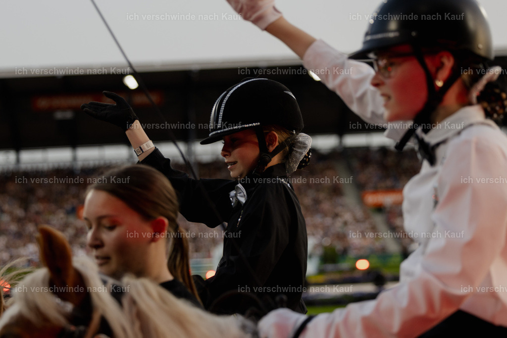 TSCHIO26_PferdundSinfonie_StoibphotographyTSCHIO26_Pferd-Sinfonie_Stoibphotography_AM10880.CR3.jpg | working equitationturnier fotograf videograf stoibphotography marixx film working equitation deutschland reitsport turnierfotografie eventfotografie equestrian events