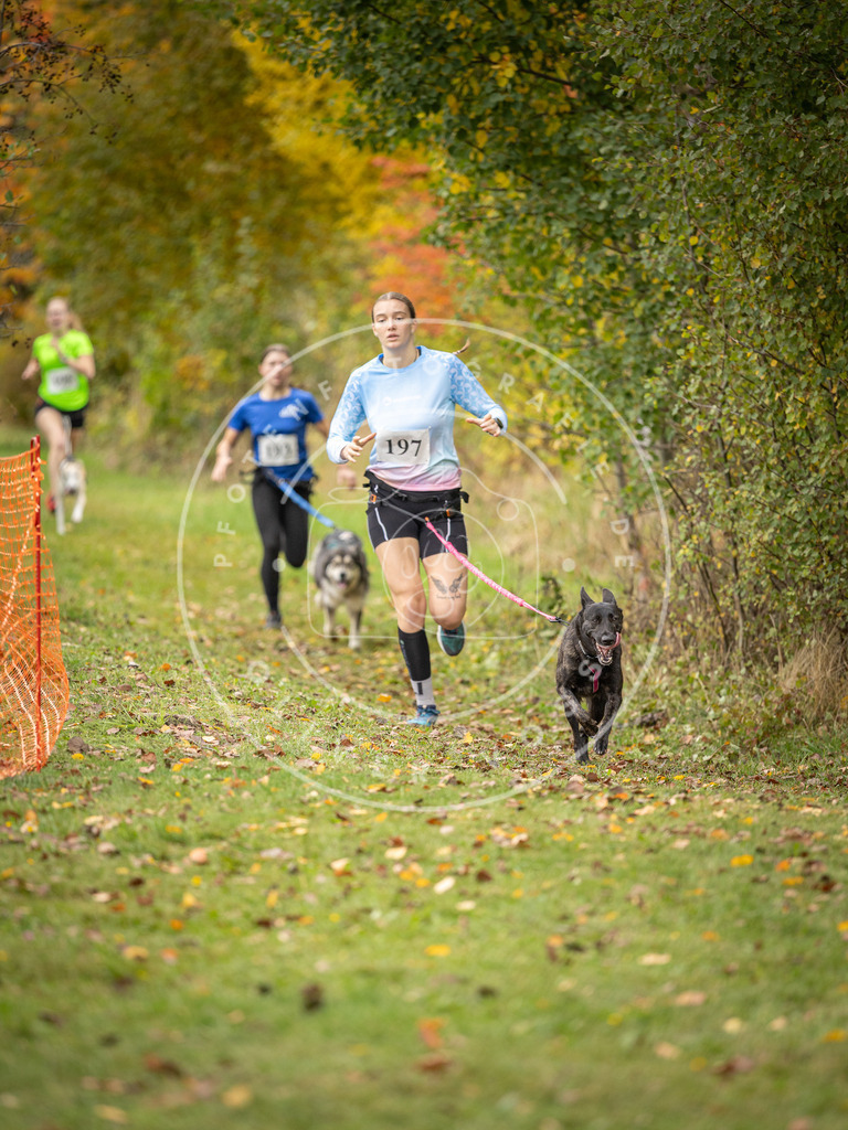 Pfotenfotografie_DV3A3878 | Hundefotografie, Tierfotograf, Pfotenfotografie, Fotoshooting Hund, Hunde Portrait, Hundesport, Hundeportraits, Heideshooting, Hunde, Sportfotograf, Hundefotograf, Turnierhundsport, THS,  - Realisiert mit Pictrs.com