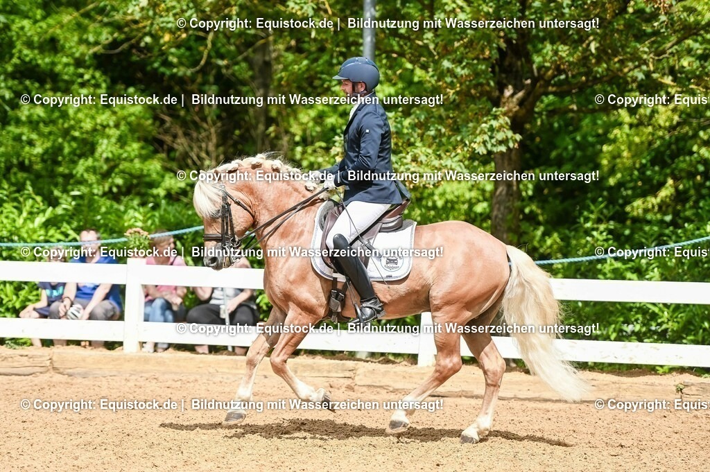 20230716_01_Dressurprüfung Kl.M_0158 | equistock