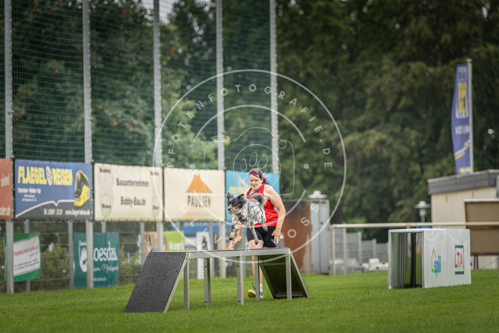 Pfotenfotografie_DV3A5339 | Hundefotografie, Tierfotograf, Pfotenfotografie, Fotoshooting Hund, Hunde Portrait, Hundesport, Hundeportraits, Heideshooting, Hunde, Sportfotograf, Hundefotograf, Turnierhundsport, THS,  - Realisiert mit Pictrs.com