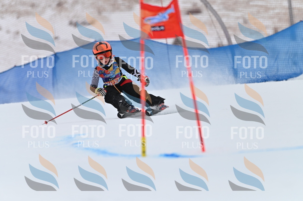 BGV_1767 | holidayphoto