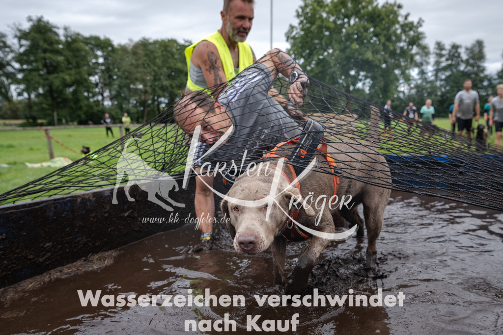 _ZZ93069 | kk-dogfotos