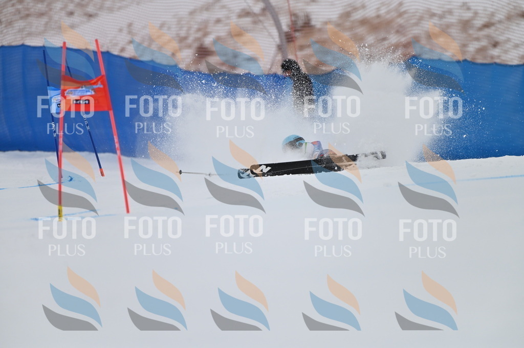 BGV_0400 | holidayphoto