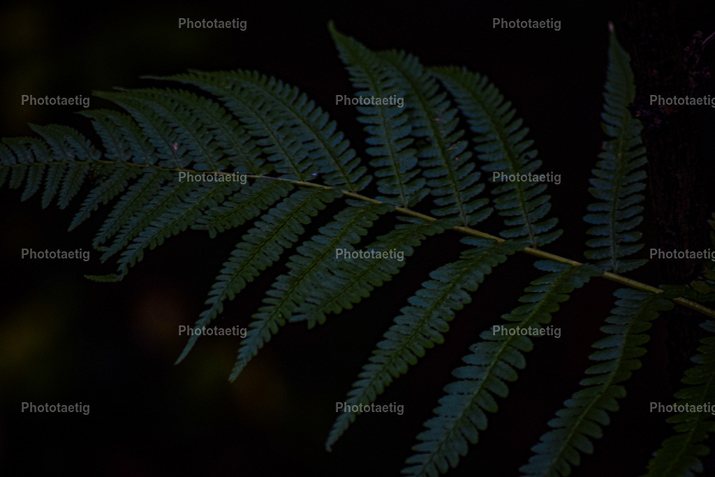 IMG_3856 | phototaetig