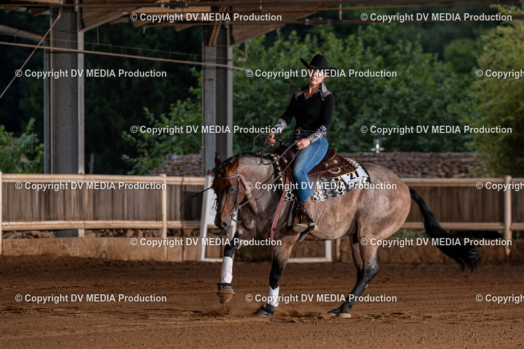 Erbach Tag 1-1289 | dv-media-shop - Realisiert mit Pictrs.com