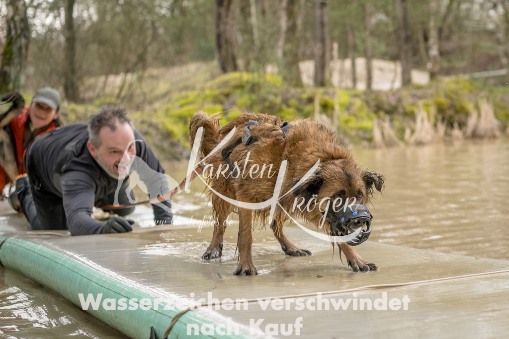 1338_ZZ90254-Bearbeitet | kk-dogfotos