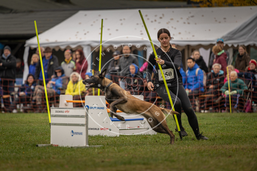 Pfotenfotografie_DV3A6336 | Hundefotografie, Tierfotograf, Pfotenfotografie, Fotoshooting Hund, Hunde Portrait, Hundesport, Hundeportraits, Heideshooting, Hunde, Sportfotograf, Hundefotograf, Turnierhundsport, THS,  - Realisiert mit Pictrs.com