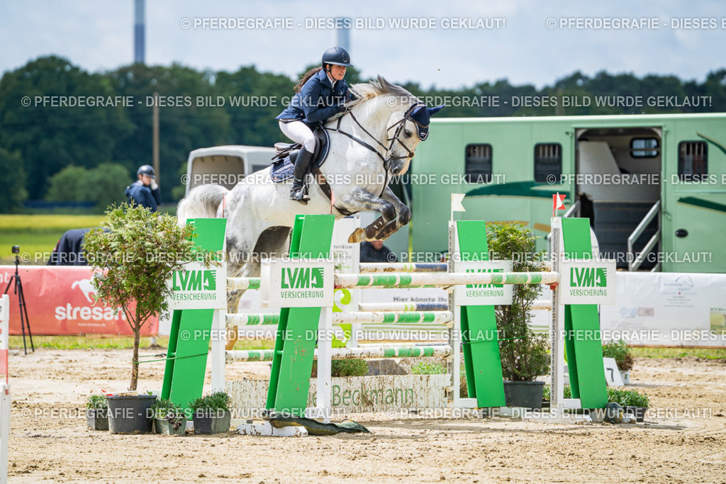 DSC04671 | Pferdegrafie