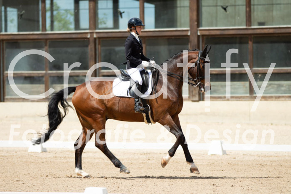 IMG_5754 | Creatify Fotografie