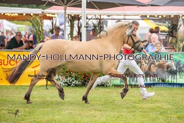 LTN STUTEN (1007) | mandyhollmannphotographie