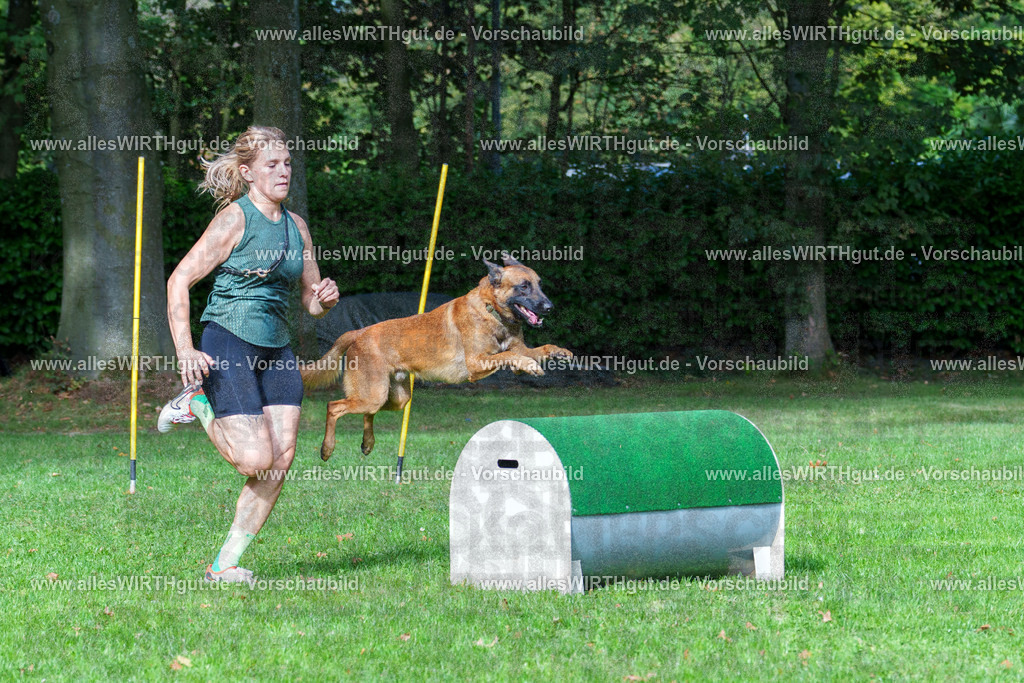 THS_Turnier_27-09-2026-allesWIRTHgut_Tierfotografie-7R507110 | Professionelle Tierfotografie in Mönchengladbach von Daniel Wirth (allesWIRTHgut). Liebevolle & natürliche Bilder von Hunden & Katzen für unvergessliche Erinnerungen.