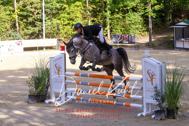 DKP42348 | Turniersportfotografie; Pferdefotografie; Dressurfotografie