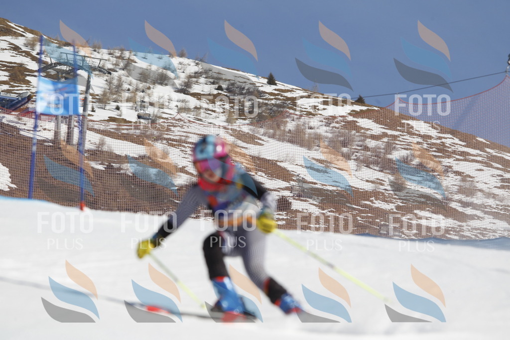 _U3G8963 | holidayphoto