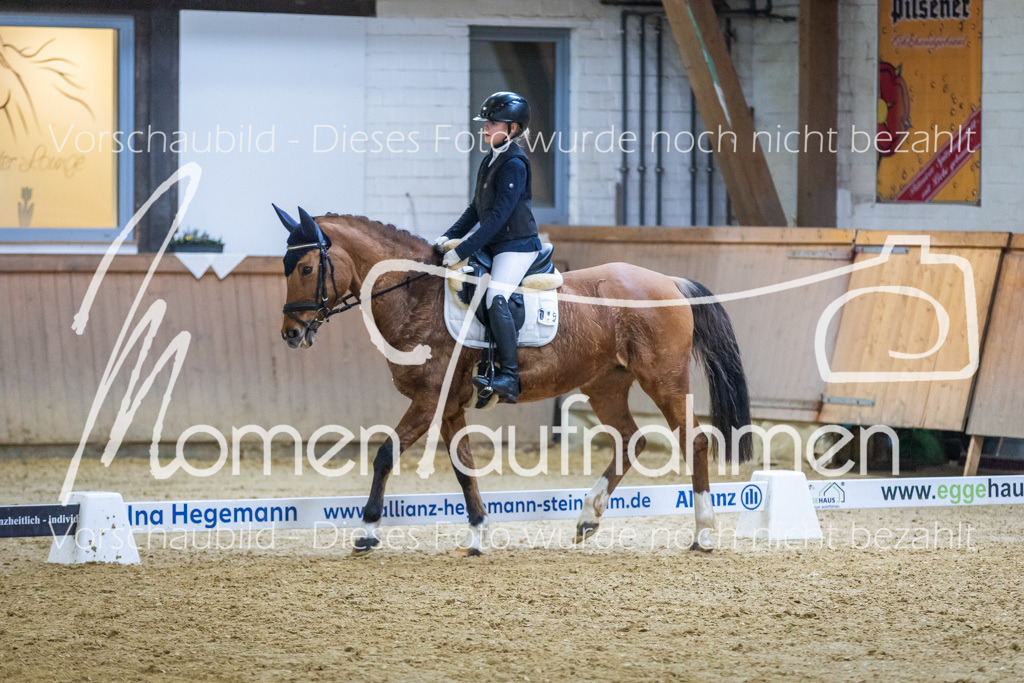 Sth-WBO25-EDr-081 | MomenTaufnahmen Pferdesportfotos