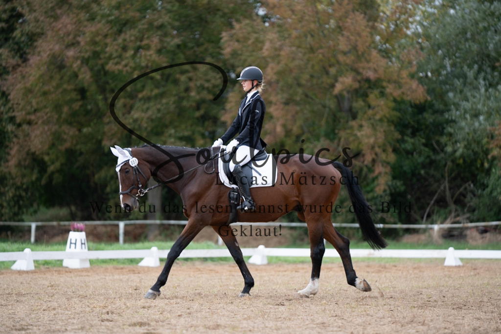 A7V05316 | Pferdefotograf