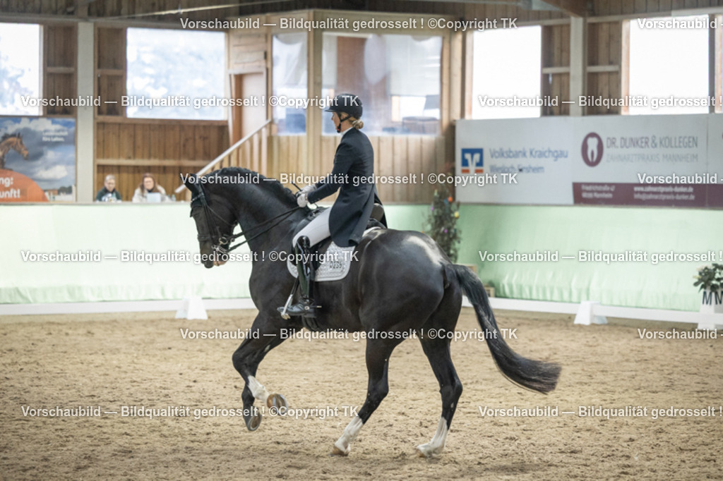 _D5A6924 | Emotionale Pferde- & People-Fotografie rund um Heidelberg, Leimen & Umgebung. Natürliche Fotos von Pferd, Mensch & Familie. Jetzt Termin sichern!