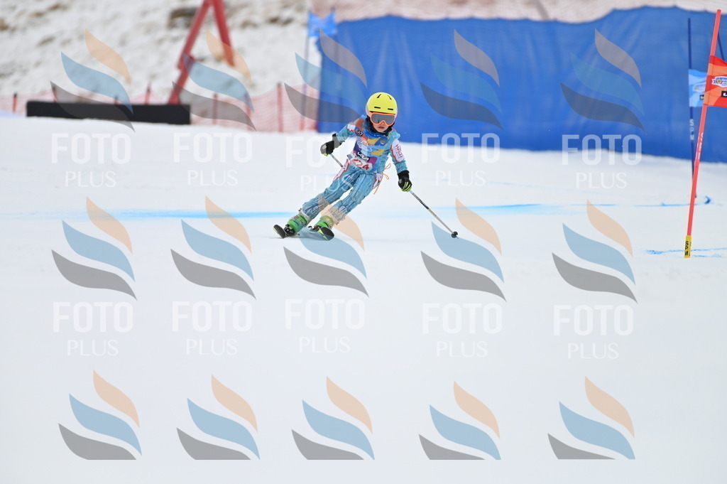 BGV_3253 | holidayphoto