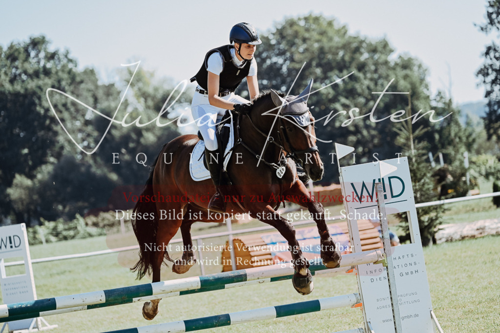 DSC_5591 | Pferde- und Turnierfotografie in Westsachsen. Pferdeportraits, Auftragszeichnungen und intuitive Kunst.