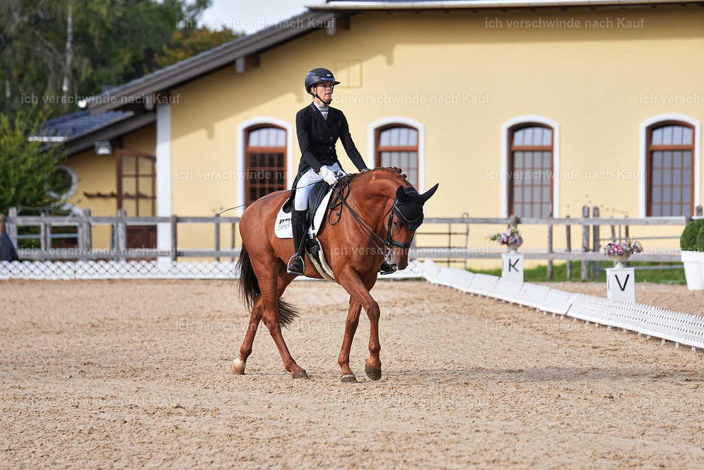 13-220-S___ -Marixx-7049 | working equitationturnier fotograf videograf stoibphotography marixx film working equitation deutschland reitsport turnierfotografie eventfotografie equestrian events