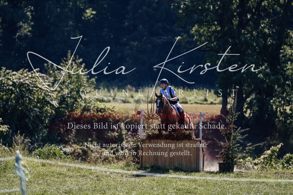 DSC_2062 | Pferde- und Turnierfotografie in Westsachsen. Pferdeportraits, Auftragszeichnungen und intuitive Kunst.