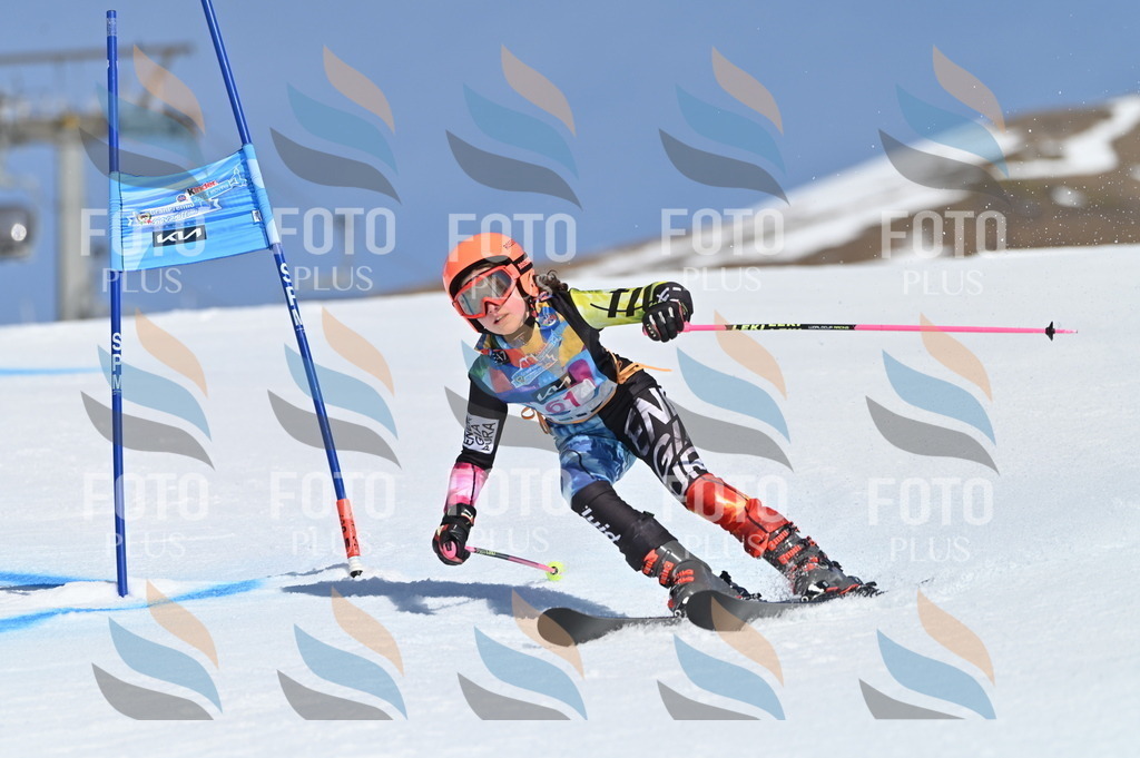 BGV_8747 | holidayphoto