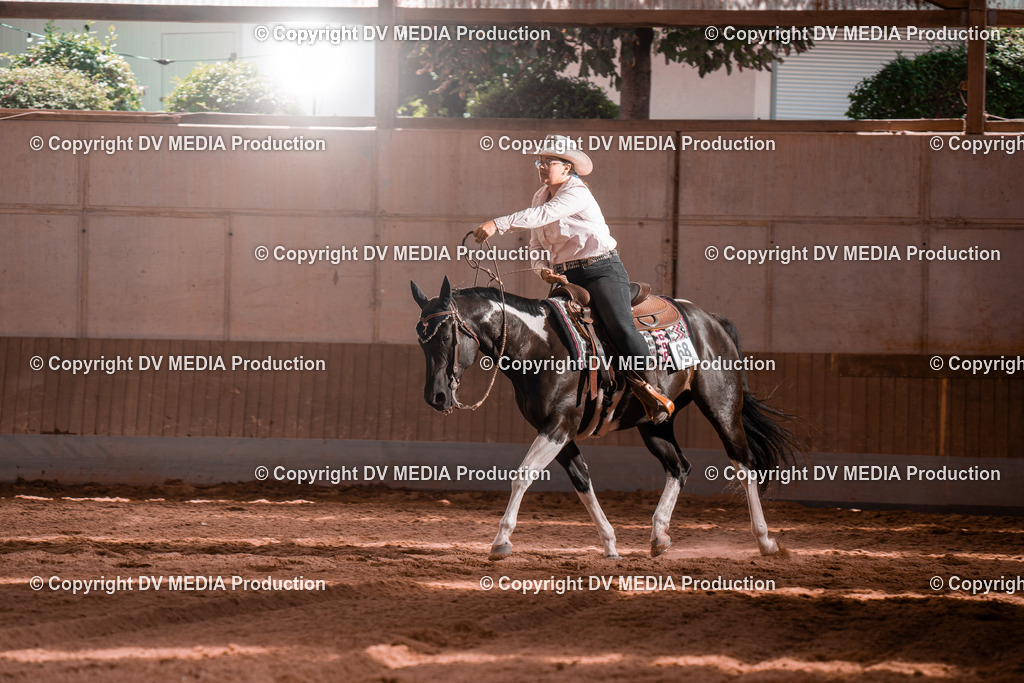 NE100750 | dv-media-shop - Realisiert mit Pictrs.com