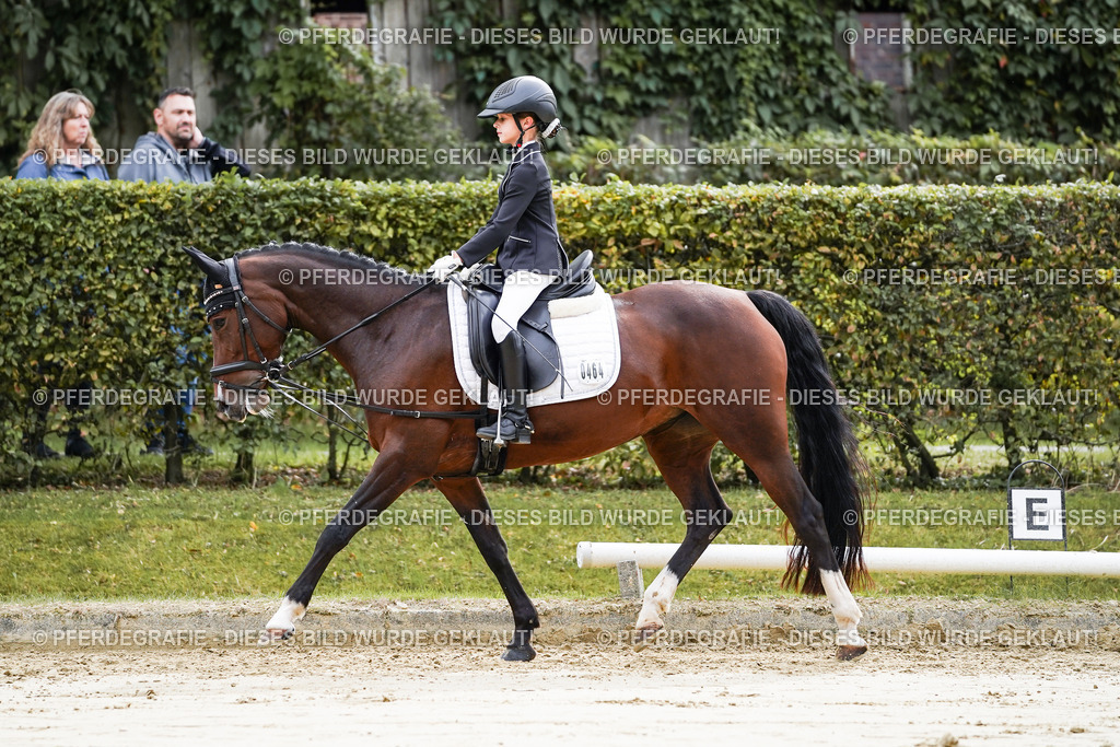 DSC05161 | Pferdegrafie