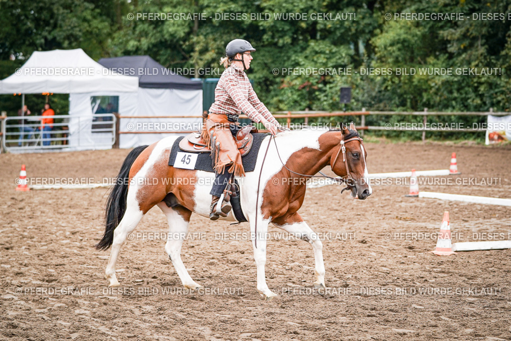 DSC02772 | Pferdegrafie