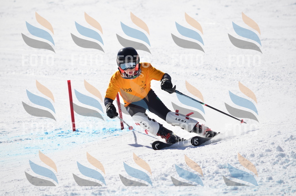 C9655 | holidayphoto