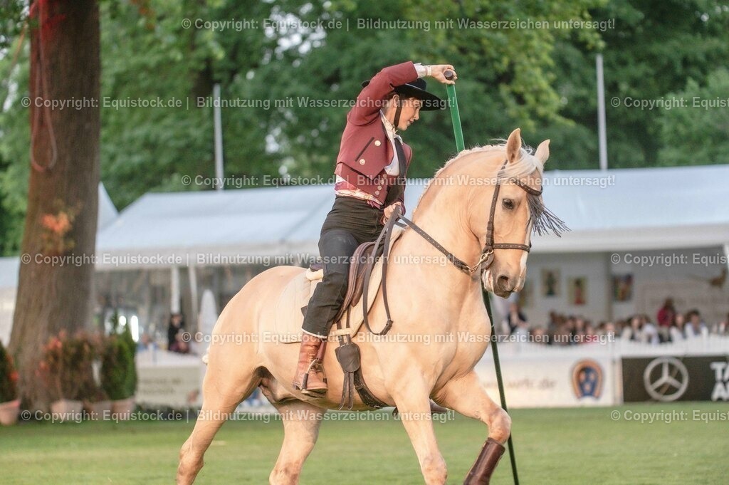 20230526_Pferdenacht_0724 | equistock
