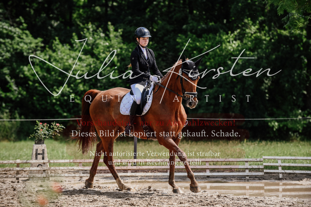 DSC_1419 | Pferde- und Turnierfotografie in Westsachsen. Pferdeportraits, Auftragszeichnungen und intuitive Kunst.