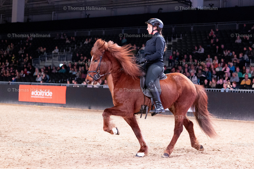 TH_IPZV_27279 | EQUITANA 2025 am 11.03.25 in Essen