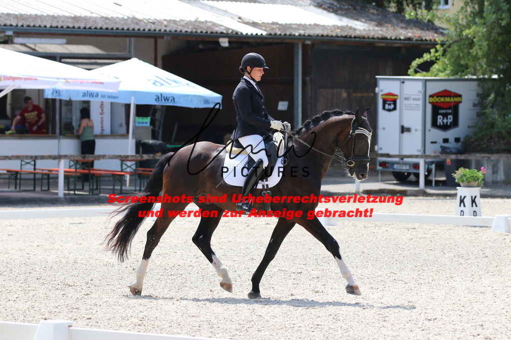 IMG_4684 | lmwpictures - Realisiert mit Pictrs.com